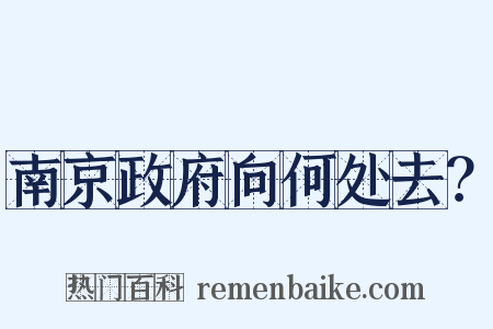 南京政府向何处去？是什么意思的图片